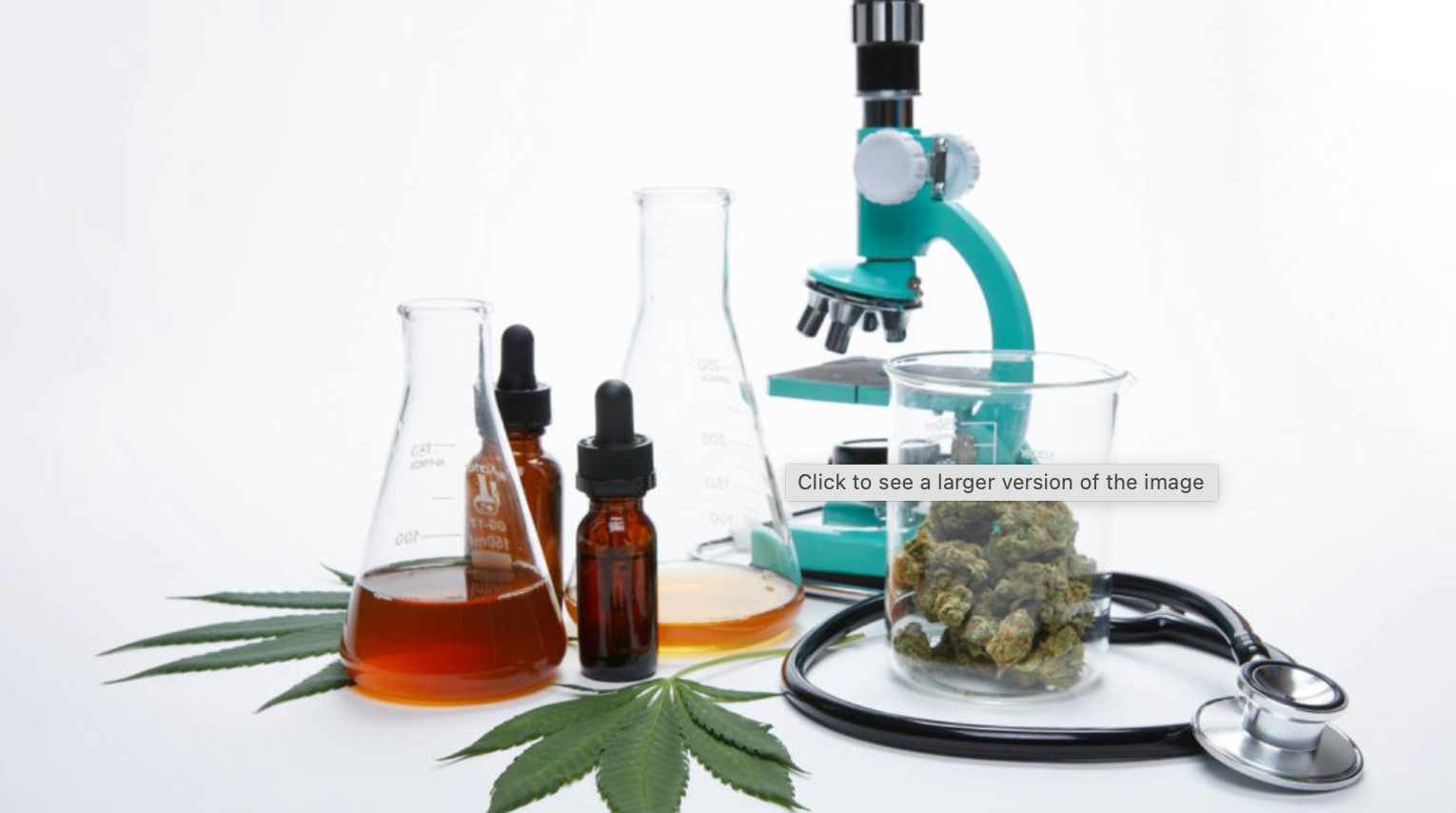 Cannabis Testing is No Joke