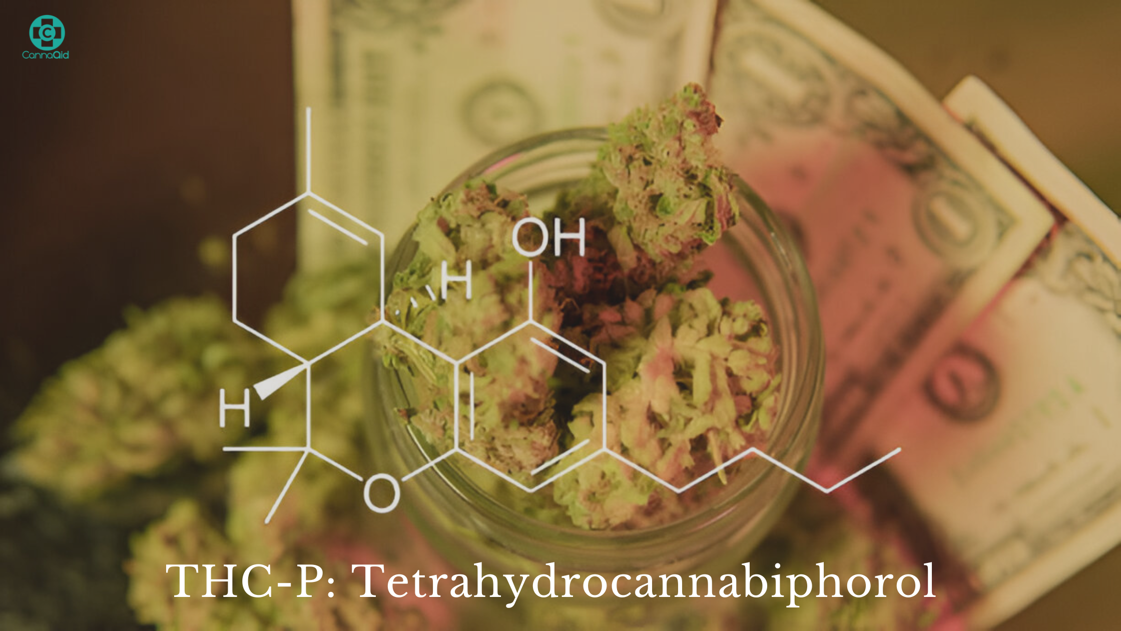 What is THCP? Exploring the Most Potent Cannabinoid