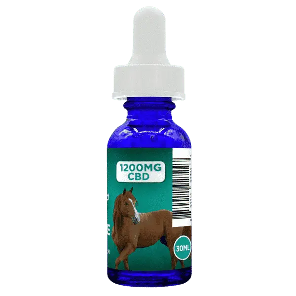 CBD Rich Hemp Oil For Equine Horse Use CannaAid